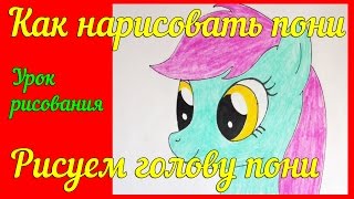 Как нарисовать пони, как рисовать голову пони, 100% нарисуешь