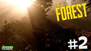 The Forest : Исследуем остров  #2