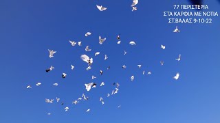 ΠΕΡΙΣΤΕΡΙΑ ΣΤ. ΒΑΛΑΣ 77 ΠΕΡΙΣΤΕΡΙΑ ΜΕ ΝΟΤΙΑ ΣΤΑ ΚΑΡΦΙΑ ΟΚΤΩΒΡΙΟΣ 9/10/2022