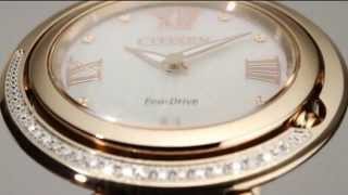 Citizen Eco-Drive ladies watch at Debbie Mouton Jewellers
