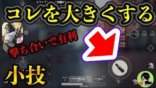 カスタムパネルのちょっとした小技！初心者向け？【荒野行動】