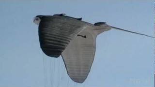 Manta Ray Paraglider Wing