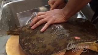 Como matan una tortuga Full vídeo