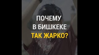Почему в Бишкеке аномальная жара?