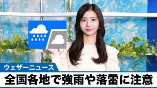 お天気キャスター解説　11月29日(火)の天気