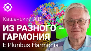 Кашанский А.В. Из разного – гармония. Как соединить разных людей в гармоничное сообщество