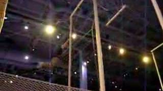 trapezin' kids