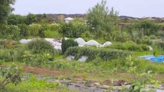 Holy Isle Sustainability
