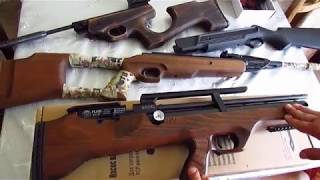 Раздушенный Hatsan FlashPup Смешные цены