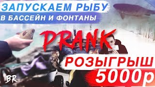 СУМАСШЕДШИЕ ПРАНКИ НАД ЛЮДЬМИ / ЗАПУСКАЕМ РЫБУ В БАССЕЙН, ФОНТАНЫ / РЕАКЦИЯ ЛЮДЕЙ НА НАШИ ВЫХОДКИ