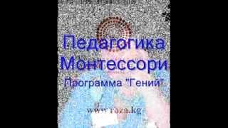 Программа "Гений". Тема: Педагогика Монтессори