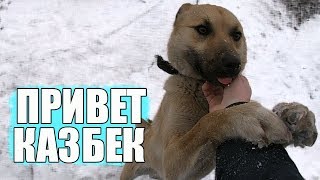 Привет КАЗБЕК // ВАСЬКА разбесился