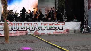 29.08.15. День города Бугульма. 8