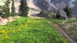 Snowbird Big Mountain MTB Trail