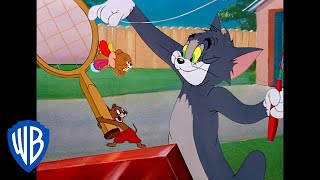 Tom y Jerry en Español | Actividades de día soleado
