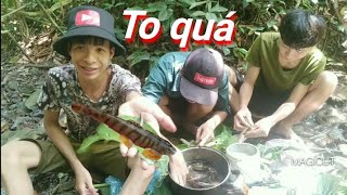 Ăn Món cá nhảy kinh dị , đi tắm Suối Bắt ăn luôn ???