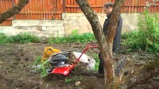 Культиватор MTD T 245