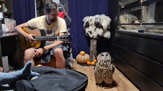 Yoll's stream толпа, угу и всякое