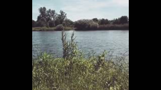 Vance Joy Riptide Ukulele