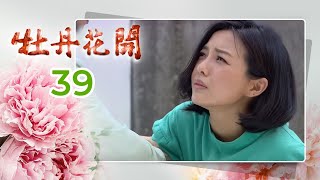 牡丹花開 Peony In Bloom EP.039