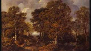J.C. Bach - Berlin Harpsichord Concerto No. 1 in D minor (1/3)
