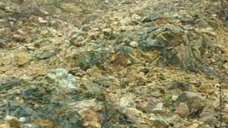 Κυνηγι Λαγου Tavsan Avi BAti Trakya Sahin Koyu EKREM EXINOS ΞΑΝΘΗΣ Sezon 2009 Tavşan Λαγος No 14