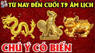 Tiết Lộ Bí Ẩn 3 Con Giáp Đang Khổ Đến Mấy Cũng Trúng Quả Giàu To Tiền Đè Ngập Mặt | TỬ VI TÀI LỘC