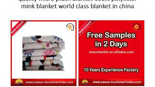 quality micro plush blanket 100% polyester mink blanket world class blanket in china