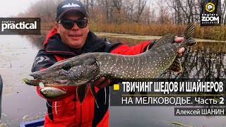 Твичинг шедов и шайнеров на мелководье. Алексей Шанин. Часть 2