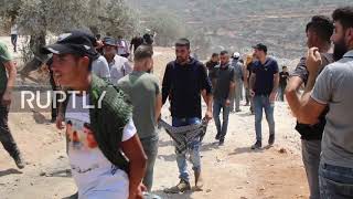 State of Palestine: Tear gas flies as West Bank anti-settlement rally ends in clashes