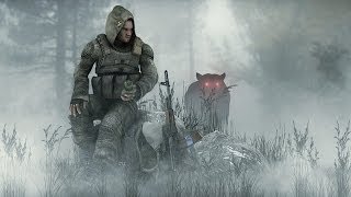 Сталкер-Ф.О.Т.О.Г.Р.А.Ф.(часть пятая: как получить флаер или убийство агента)