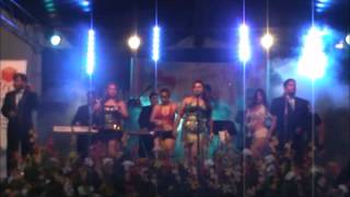 internacional sonora vicentina mix homenaje