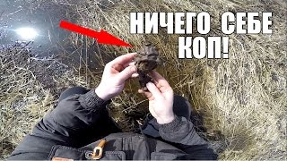 ДАЖЕ НЕ ДУМАЛИ ЧТО НАЙДЕМ ГОЛОВУ ЛЬВА / Russian Digger