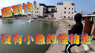 台南超猛怪物池"喜樹海釣場"第一集Taiwan Lates calcarifer バラマンディ