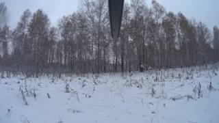 Охота на косулю. Как всегда быть с трофеем?! На личном примере!!!