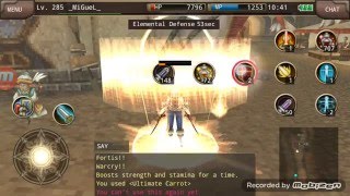 Iruna Paladin Knight's Oath Lv260 skill