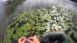 Fishing Ros River