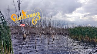 Рыбалка на водохранилище, спиннинг осенью 2019