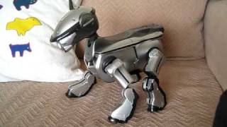 sony aibo for ers-220