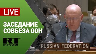 Заседание Совбеза ООН по вопросу биолабораторий на Украине — LIVE