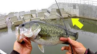 New HIDDEN Fishing Spot is LOADED w/ Spring Bass!!