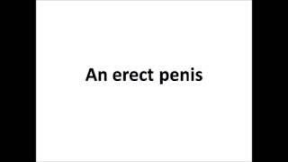 sex words part-45