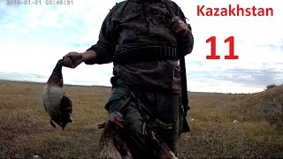 Охота на утку.Duck Hunting.Казахстан охот. Караганды.