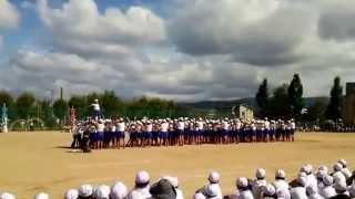 小学校の組み体操 レベル高くてビックリ