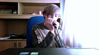 Лустов К - губная гармошка, игра под минус. Lustov K - electroharmonica playing