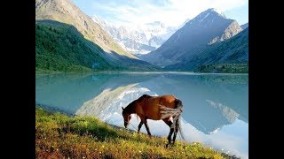 Путешествие на машине, Алтай ,чудо природы.