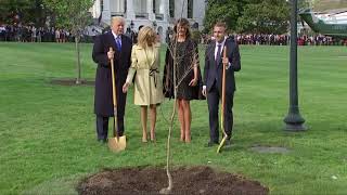 White House Mystery: Where is Trump-Macron Oak Tree?
