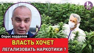 «Обкуренные и обдолбанные». Нардепы о легализации медицинской марихуаны в Украине