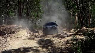 Limestone Creek Track - The High Country