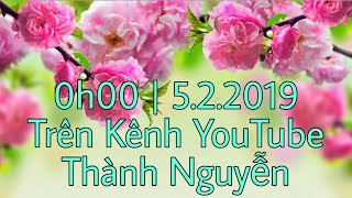 Trailer | (#CMNM) - Xuân Kỷ Hợi 2019
